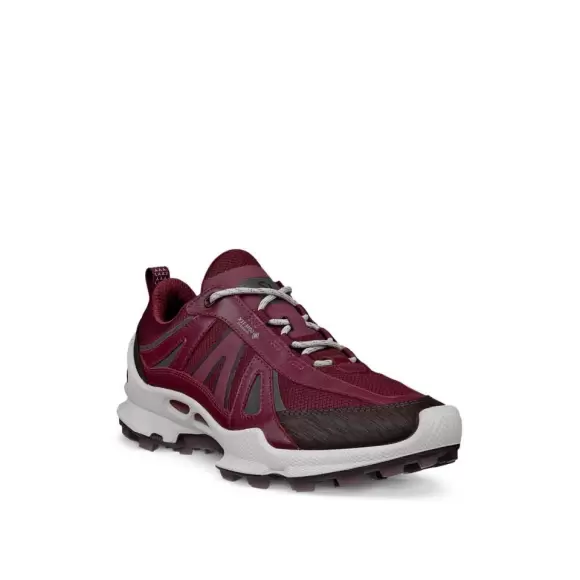 Ecco Biom Trail Inv Gtx 803463 61424